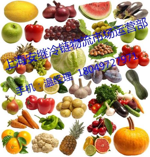 上海食品貨運物流市場價上海食品貨運物流市場價格表