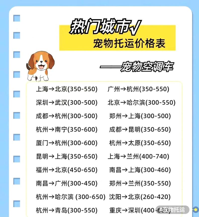 機場貨運貓機場運貓多少錢