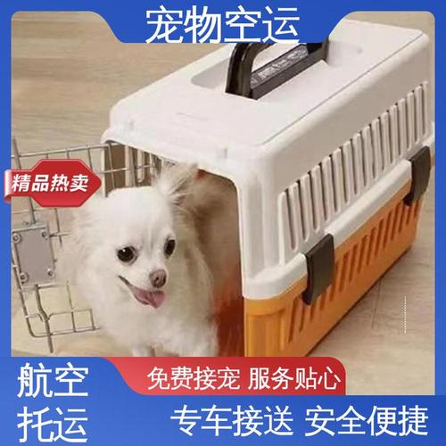 狗貨運航空狗狗航空運輸
