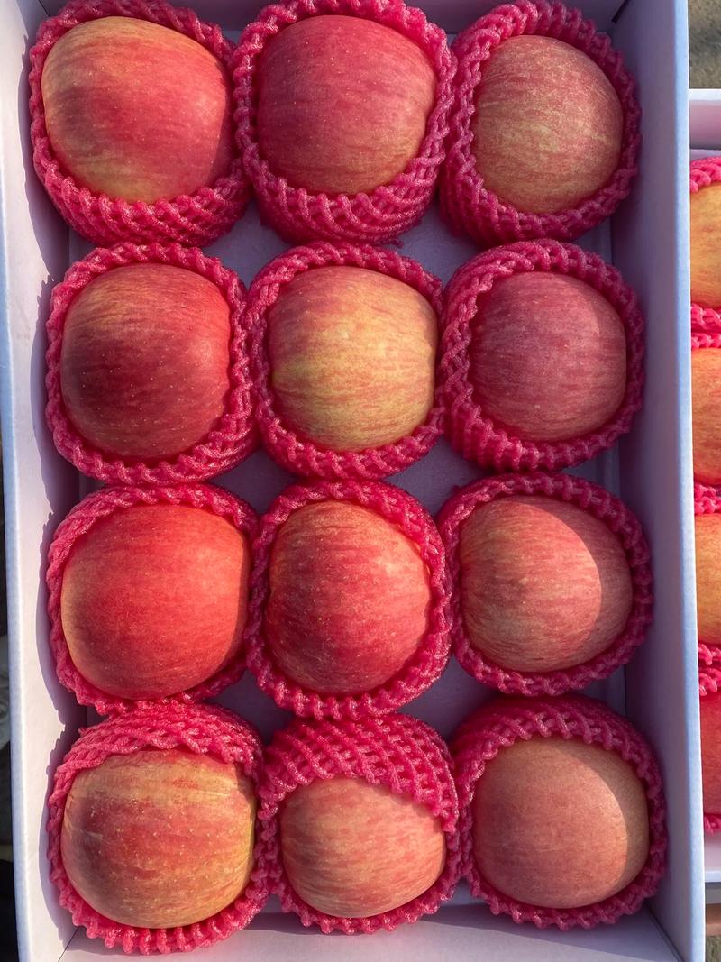 iphone國(guó)內(nèi)貨運(yùn)蘋(píng)果貨運(yùn)