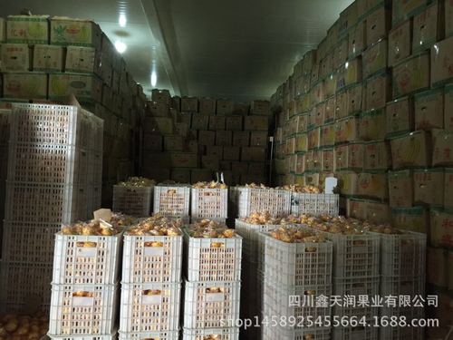 湖南水果貨運湖南水果貨運公司排名