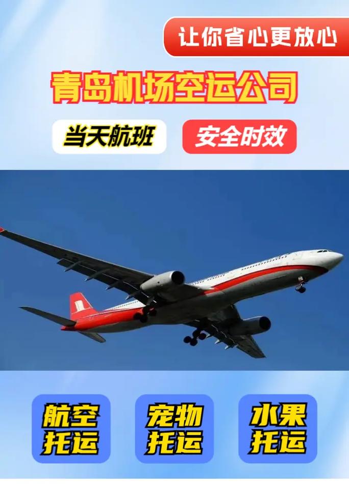 航空貨運標(biāo)航空貨運標(biāo)準(zhǔn)