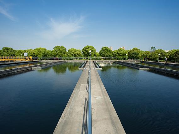 天津鼎盛貨運(yùn)天津鼎盛貨運(yùn)代理有限公司